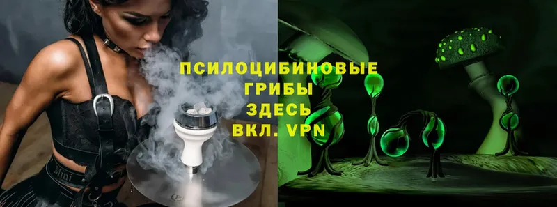 где продают наркотики  KRAKEN зеркало  Галлюциногенные грибы Magic Shrooms  Власиха 